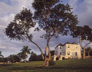 Rose Hall (photo) | Obraz na stenu