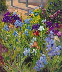 Irises and Summer House Shadows, 1996 (oil on canvas) | Obraz na stenu