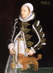 Portrait of a Woman, probably Catherine Carey, Lady Knollys (oil on panel) | Obraz na stenu