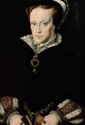 Queen Mary I (1516-58) of England (oil on panel) | Obraz na stenu