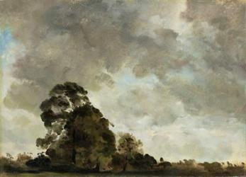 Landscape at Hampstead, Tree and Storm Clouds, c.1821 (oil on paper laid down on panel) | Obraz na stenu