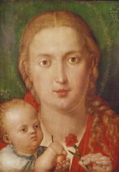 Madonna of the Carnation, 1516 (oil on panel) | Obraz na stenu