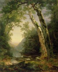 The Catskills, 1859 (oil on canvas) | Obraz na stenu