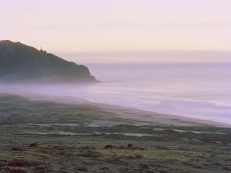 Big Sur | Obraz na stenu