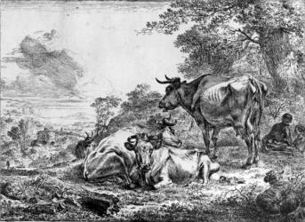 Three Cows (engraving) | Obraz na stenu