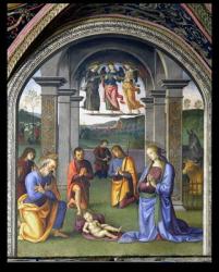 The Adoration of the Shepherds, from the Sala dell'Udienza, 1496-1500 (fresco) | Obraz na stenu
