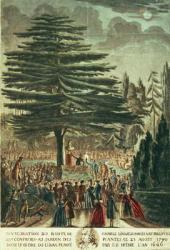 Inauguration of the bust of Carl Linnaeus (1707-78) in the Jardin des Plantes, underneath the Cedar of Lebanon which he planted in 1646, 23rd August 1790 (coloured engraving) | Obraz na stenu