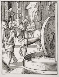 Manufacture of Oil, after a 16th century illustration drawn and engraved by Jost Amman (1539-91) from 'Le Moyen Age et La Renaissance' by Paul Lacroix (1806-84) published 1847 (litho) | Obraz na stenu