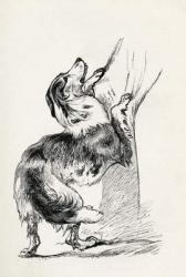 Half bred Shepherd Dog caressing his master, from Charles Darwin's 'The Expression of the Emotions in Man and Animals', 1872 (litho) | Obraz na stenu