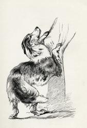 Half bred Shepherd Dog caressing his master, from Charles Darwin's 'The Expression of the Emotions in Man and Animals', 1872 (litho) | Obraz na stenu