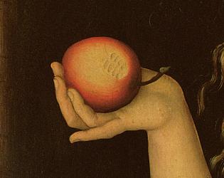 Eve, 1528 (oil on panel) (detail of 9629) | Obraz na stenu