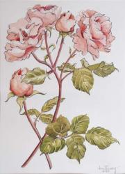 Roses,Abraham Derby, 2012,(pencil and watercolour on handmade paper) | Obraz na stenu