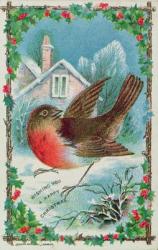 Christmas card depicting a robin (colour litho) | Obraz na stenu