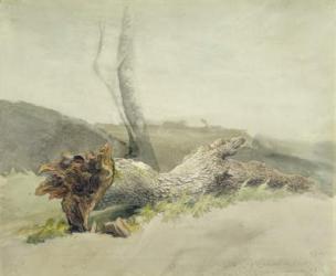 The Fallen Tree, c.1804 (w/c over graphite on wove paper) | Obraz na stenu