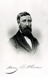 Henry David Thoreau (1817-62) (engraving) (b/w photo) | Obraz na stenu