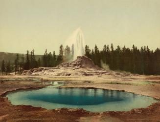 Castle Geyser, Yellowstone National Park, c.1898 (photochrom) | Obraz na stenu