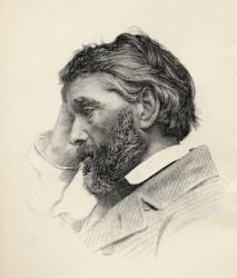 Thomas Carlyle (engraving) | Obraz na stenu