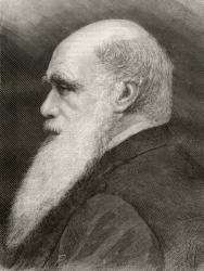 Charles Darwin, from 'Nuestro Siglo', published Barcelona, 1883 (litho) | Obraz na stenu