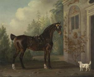 Lord Abergavenny's Dark Bay Carriage Horse with a Terrier, 1785 (oil on canvas) | Obraz na stenu