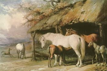 Mares and Foals, 19th century | Obraz na stenu