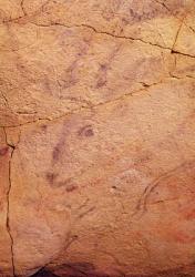 Head of a small stag, from the Caves at Altamira, c.15000-8000 BC (cave painting) | Obraz na stenu