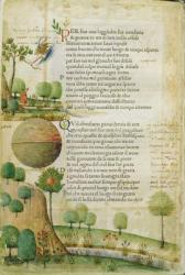 Fol. 1v, 'Per fare una leggiadra sua vendetta', from 'Canzoniere e Trionfi' by Petrarch, c.1470 | Obraz na stenu