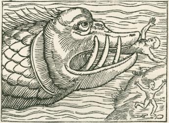 Man being eaten by a sea serpent. Illustration found on the margin of a map prepared by Olaus Magnus, 15th century Swedish geographer. From The Strand Magazine published 1897. | Obraz na stenu