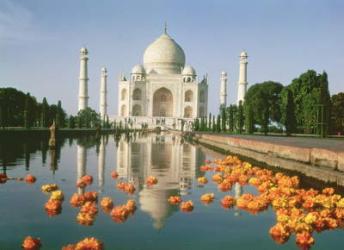 View of the Taj Mahal (photo) | Obraz na stenu