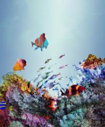 Coral Reef, 2015 (ink, digital media) | Obraz na stenu