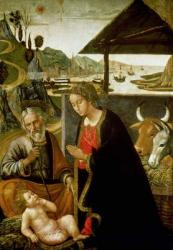Nativity, c.1490 (panel) | Obraz na stenu
