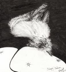 Sleepy Belina, 2015, (ink on paper) | Obraz na stenu