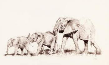 Elephant family, 2014 (pencil on paper) | Obraz na stenu