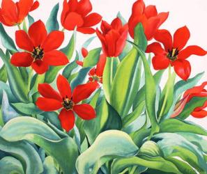 Madame Lefeber Tulips (watercolour on paper) | Obraz na stenu