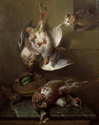 A Cat Attacking Dead Game (oil) (one of a pair, see also 40087) | Obraz na stenu