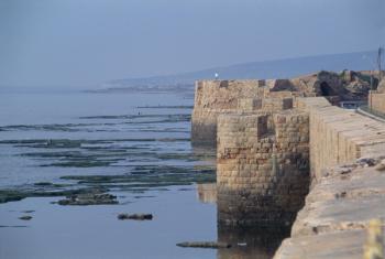 View of the port (photo) | Obraz na stenu