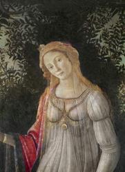 Allegory to Spring, detail of Venus, c.1478 (tempera on wood) | Obraz na stenu