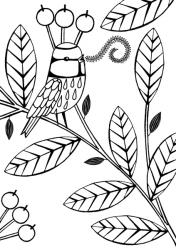 Singing bird | Obraz na stenu