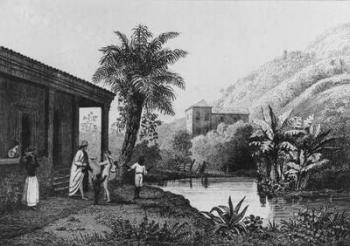 Coffee Plantation,from 'Bresil, Columbie et Guyanes' by Ferdinand Denis and Cesar Famin 1837 (engraving) (b/w photo) | Obraz na stenu