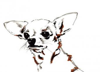 Big Ears the Chihuahua, 2012 (pen, ink on paper) | Obraz na stenu
