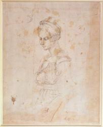 W.41 Sketch of a woman | Obraz na stenu
