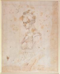 W.41 Sketch of a woman | Obraz na stenu