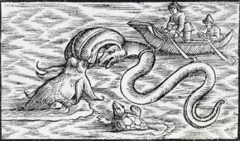 Sea monsters, 1511 (engraving) | Obraz na stenu