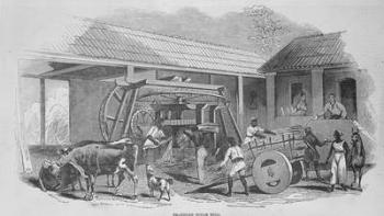 The Sugar Mill, c.1835 (litho) | Obraz na stenu