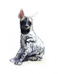 Striped Hyaena Pup (seated), 2010, (conté and pastel on paper) | Obraz na stenu