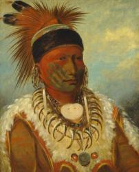 The White Cloud, Head Chief of the Iowas, 1844-45 (oil on canvas) | Obraz na stenu