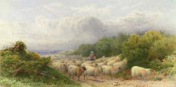 Sheep on the Downs (w/c on paper) | Obraz na stenu
