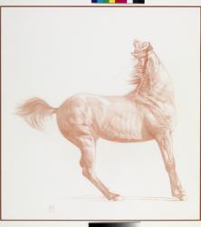 Kicking Off, Series 1, 2011 (chalk on paper) | Obraz na stenu