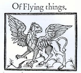 A Griffin (woodcut) (b/w photo) | Obraz na stenu