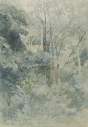 In Rokeby Park, c.1805 (w/c and pencil on paper) | Obraz na stenu