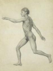 The Entire Human Figure from the Left, lateral view, from the series 'A Comparative Anatomical Exposition of the Structure of the Human Body with that of a Tiger and a Common Fowl, 1795-1806 (graphite on paper) | Obraz na stenu